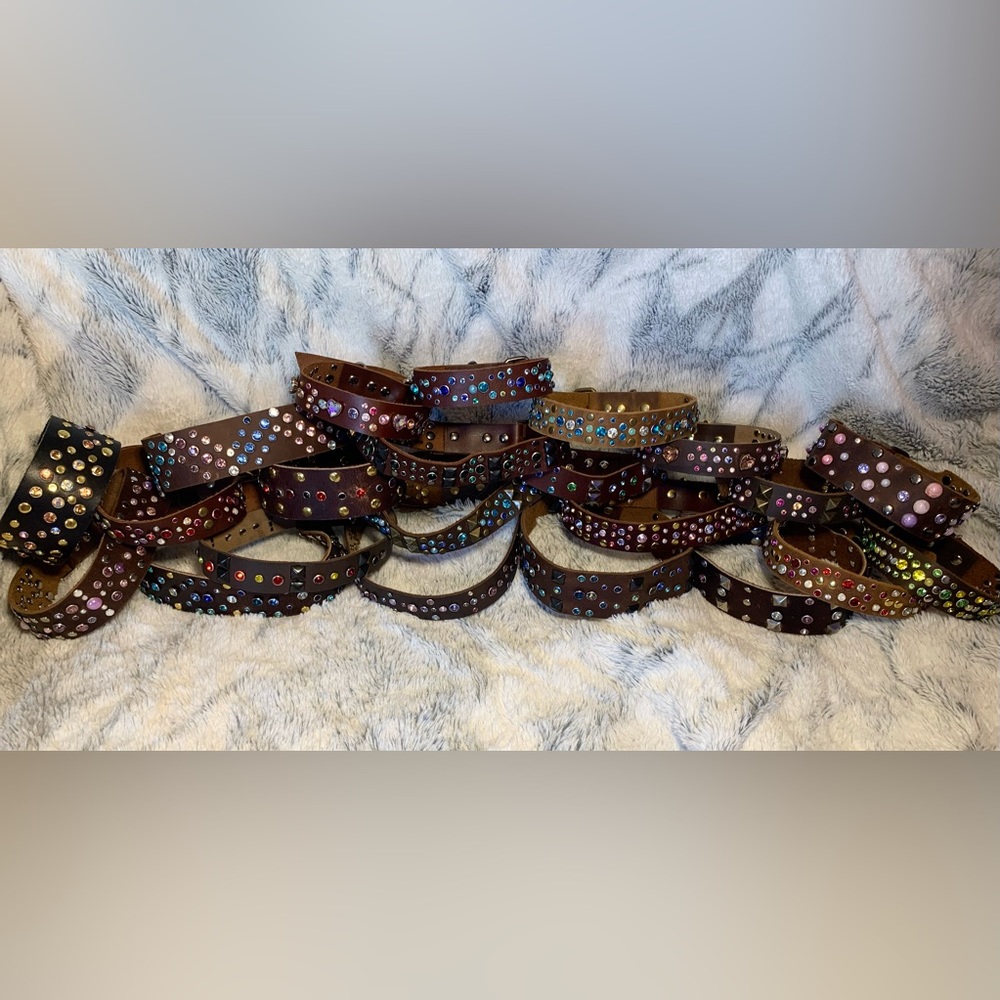 Dog and cat collars